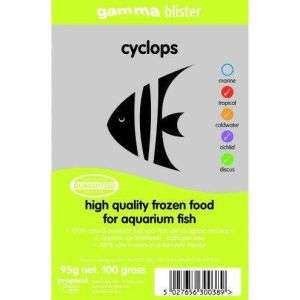 Gamma Cyclops 95g