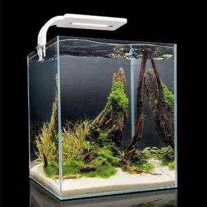 Aquael Shrimp Set Day & Night 20