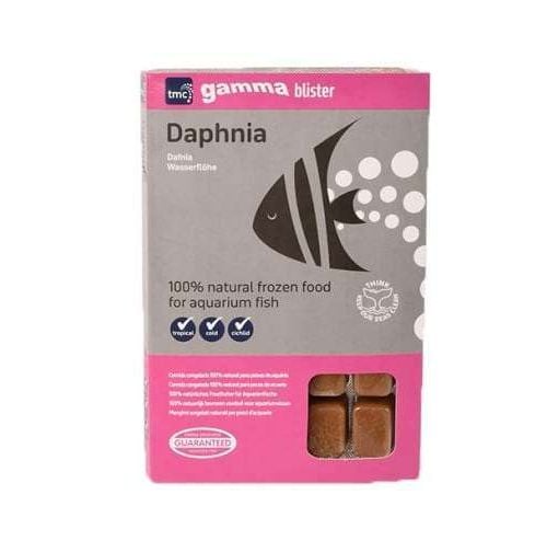 Gamma Daphnia
