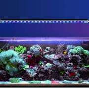 Reef Factory Reef flare Bar Gen 2, 90 cm