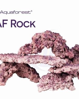 AquaForest- Rock ARCH  high porosity rock, box (10kg)