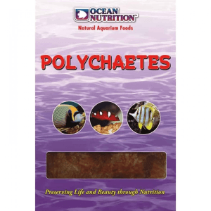 Ocean Nutrition-POLYCHAETES