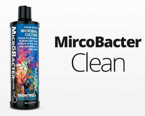 Brightwell-MicroBacter Clean  (500ml)