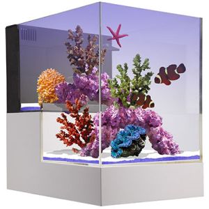 Nuvo Concept Peninsula (75L)