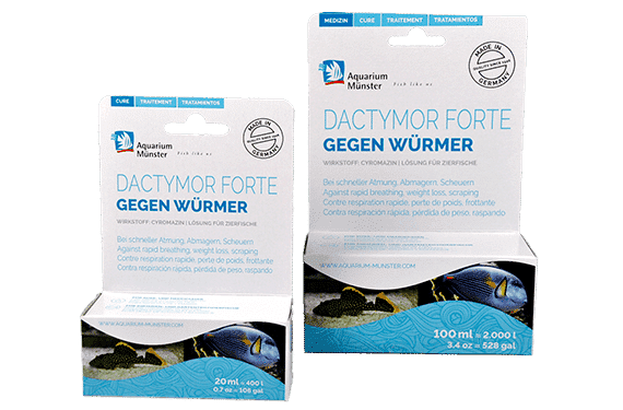 Aquarium Munster Dactymor Forte 20ml
