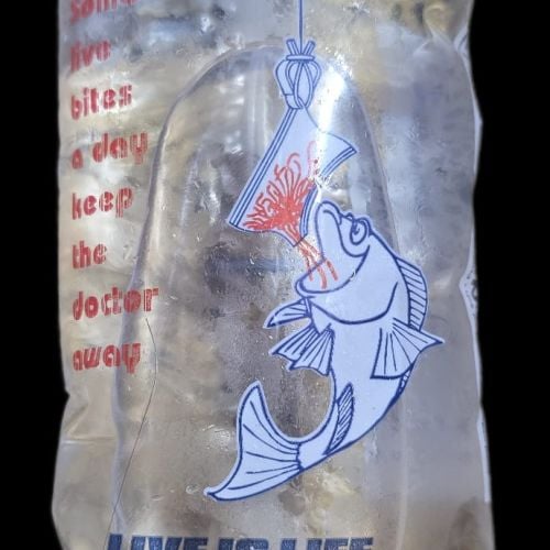 Enchytraeus Albidus white worm (live food) 180ml