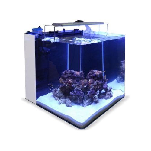 Blau Aquarium All-in-One 45x45x45cm 91 LT Marine (Aquarium + Pump +Light+Skimmer)