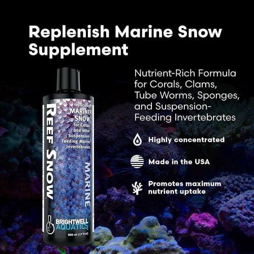 BrightWell – Reef Snow – 500ml