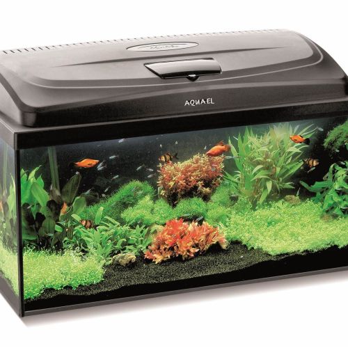 Aquael Classic box 60 day&night