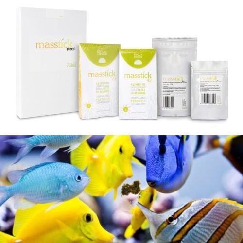 Easy Reefs Masstick 70gr